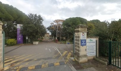Centre Glass Auto Bort, Carrossier à Saint-Jean-de-Védas