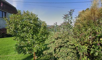 Le Débosseleur, Carrossier à Saint-Pierre-d'Alvey