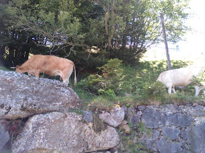 Garage Bonassies Pitton, Carrossier à Martres-Tolosane