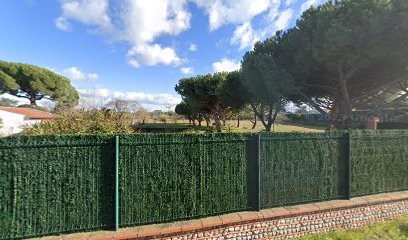 Gay Daniel, Carrossier à Toulouse