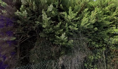 Garage Des Impiniers, Carrossier à Vallauris