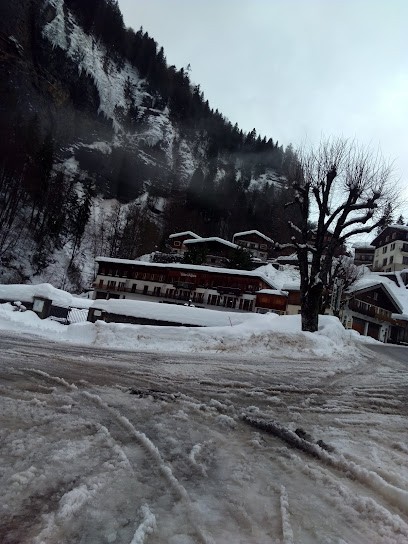 Roussel Dominique, Carrossier à Megève