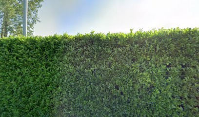 Loyer Lionel, Carrossier à Estrablin