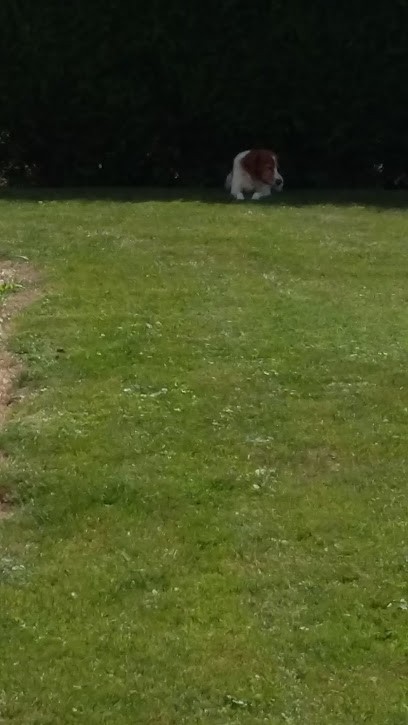 Behaegel Thierry, Carrossier à Maisoncelle-Tuilerie
