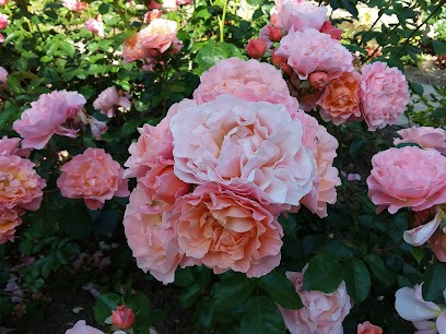 Garage Plantes Des Champs, Carrossier à Montmagny