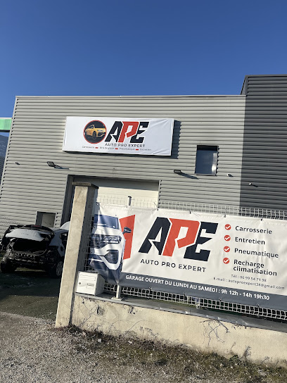 Ape Auto Pro Expert - Carrosserie - Pare-Brise, Carrossier au Pont-de-Claix