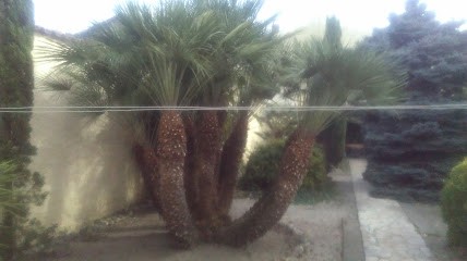 Arnal Christian, Carrossier à Toulouse