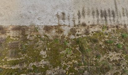 Garage de Saint-Romain, Carrossier à Saint-Romain-au-Mont-d'Or