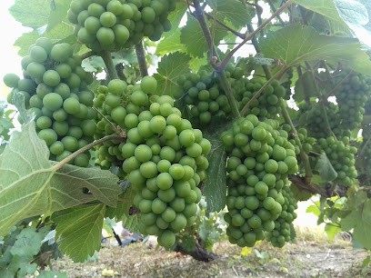 Hellot Christophe, Carrossier à Crouttes-sur-Marne