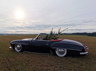 Les Belles Anciennes Du Hainaut, Carrossier à Saint-Saulve