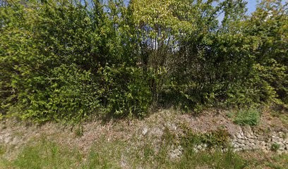 Besse Michel, Carrossier à Salernes