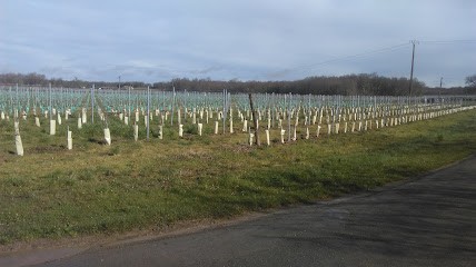 Paynaud, Carrossier aux Artigues-de-Lussac