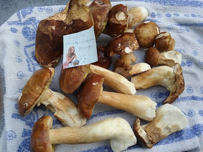 Zahri Aziz, Carrossier à Saint-Sulpice-de-Faleyrens