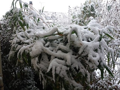 Carrosserie de la gare., Carrossier à Poissy