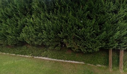 Jorge.color, Carrossier à Mimbaste