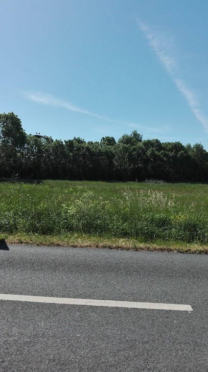Painot, Carrossier à Saint-Denis-du-Payré