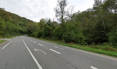 Garage Oncins Richard, Carrossier à Gan