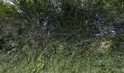 DMV, Carrossier à Fumichon