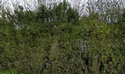 Pneus Services Richaudeau, Carrossier à Nieul-lès-Saintes