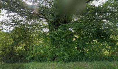 Allary Jerome, Carrossier à Saint-Martial-de-Valette